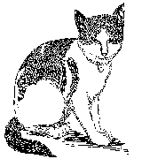 https://upload.wikimedia.org/wikipedia/commons/thumb/2/2d/Nansen_%28cat%29.jpg/120px-Nansen_%28cat%29.jpg